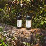 ML4 Warm - (Green Limited Edition)